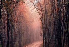 精品域名图片大全集下载,域名免费