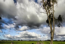 域名注册查询系统网址,最新域名注册查询