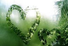 精品域名资源交易服务平台是什么软件可以下载,域名买卖平台