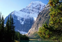 域名投资成功案例有哪些图片和视频,域名投资前景