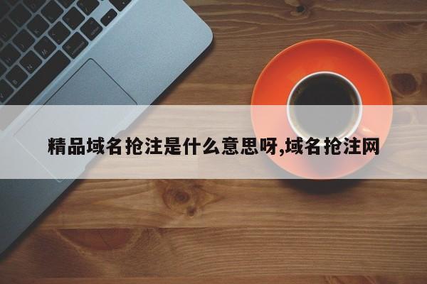 精品域名抢注是什么意思呀,域名抢注网