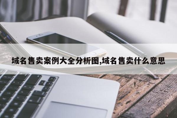 域名售卖案例大全分析图,域名售卖什么意思